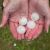 Tampa Palms Hail Damage by PJ Roofing, Inc